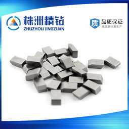 現(xiàn)貨供應(yīng)高品質(zhì)硬質(zhì)合金鋸齒刀頭 壽命長30倍，超高耐磨性鋸片與模具解決方案